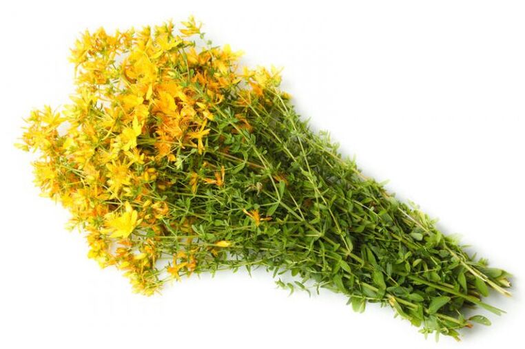 St. John's wort is used in the treatment of arthrosis